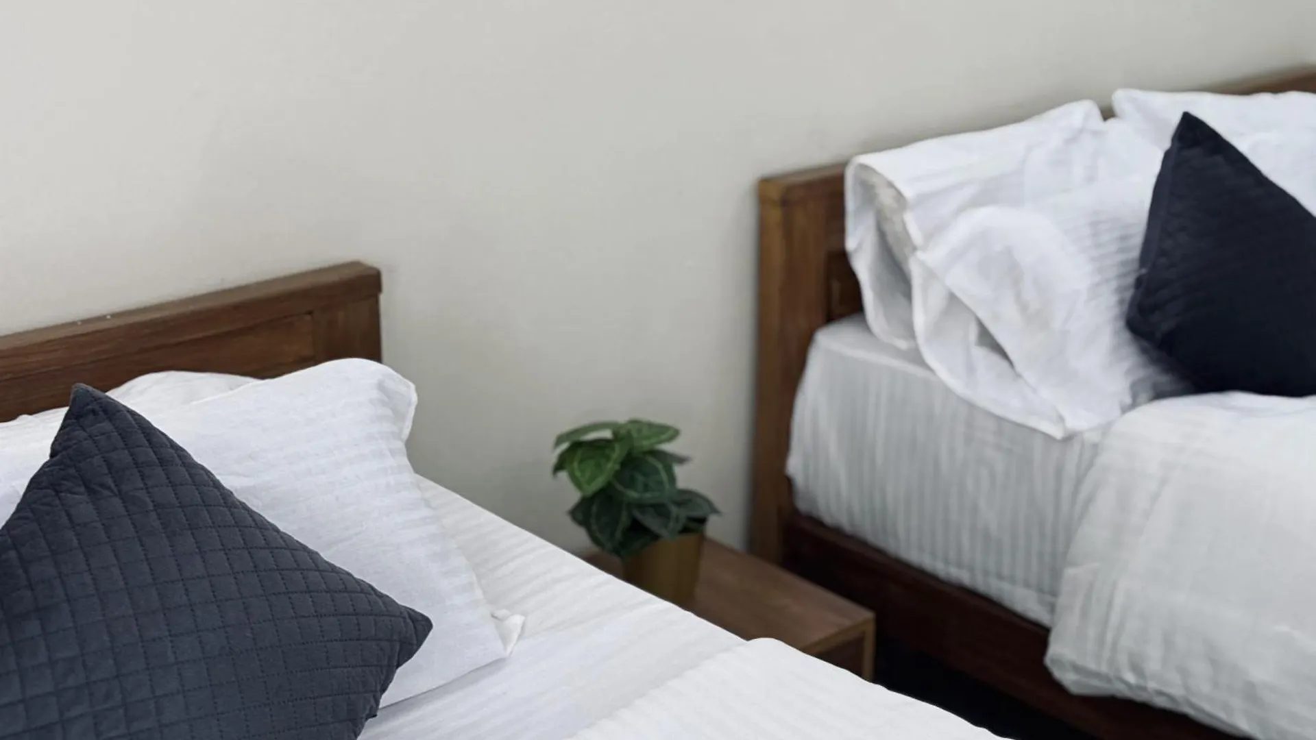 Thamarassery Inn Luxury And Budget Rooms Hostel